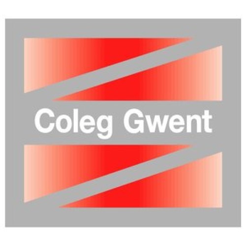 Gwent College Extra Palette and Insert (Gwent College Extra Palette and Insert)